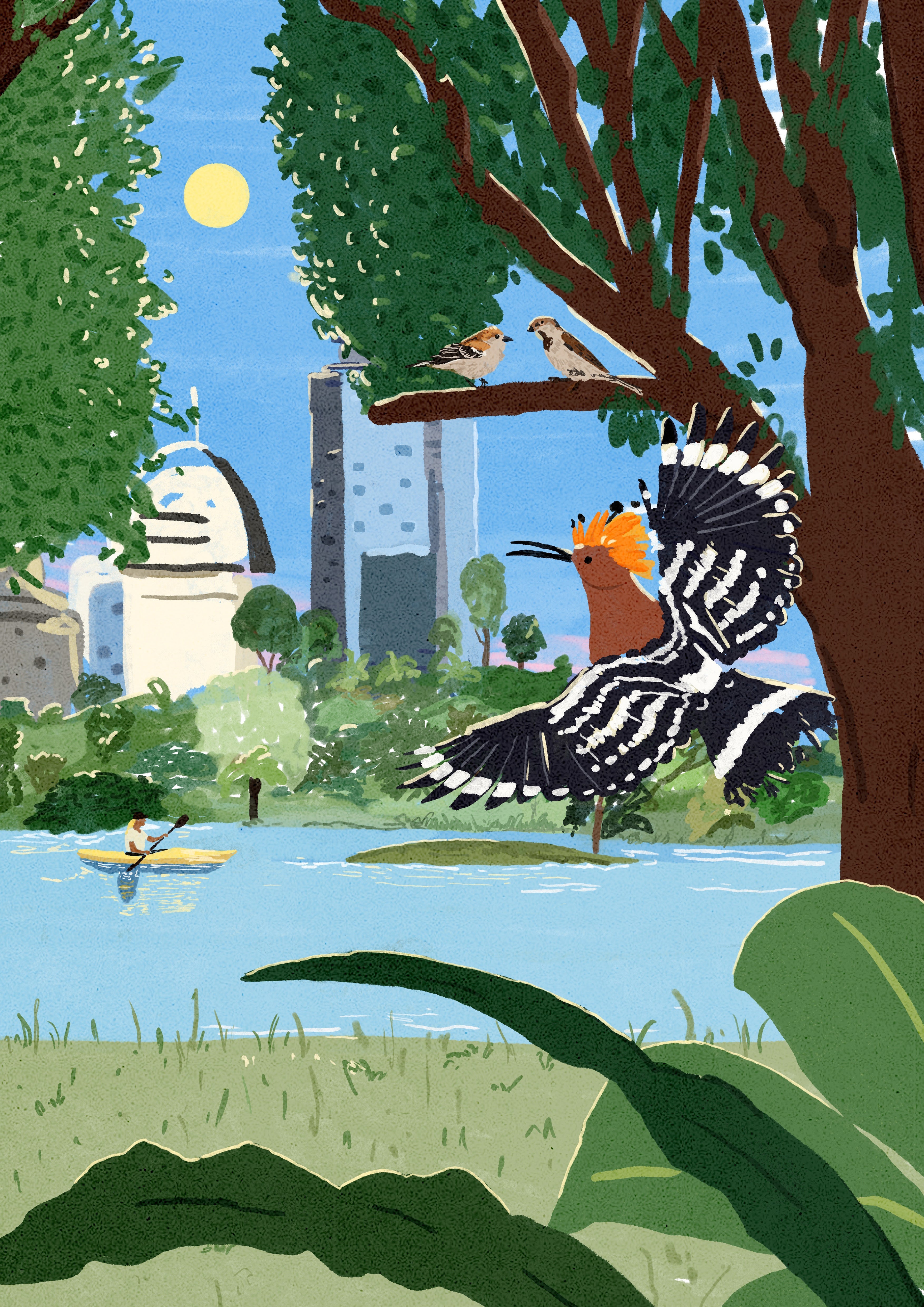 Afternoon at the Yarkon